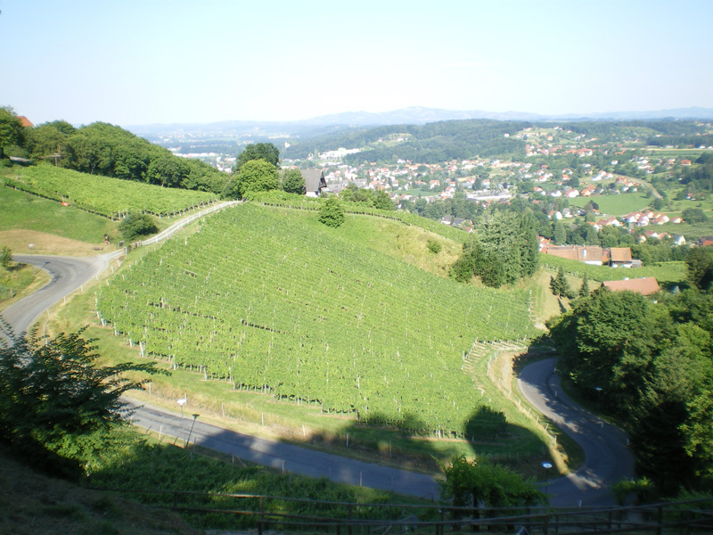 3 Bilder Burg Weinberg